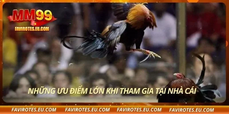 Những ưu điểm lớn khi tham gia tại nhà cái