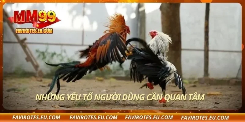 Những yếu tố người dùng cần quan tâm