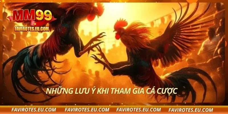 Những lưu ý khi tham gia cá cược